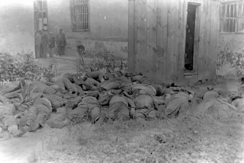 Leichen von während der Pogrome erschossenen Juden im Hof des Lemberger  Gefängnisses